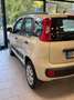 Fiat Panda Panda III 2013 0.9 t.air natural power Lounge 80cv Beige - thumbnail 4