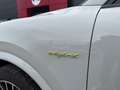 Porsche Cayenne Coupe E-Hybrid  Kreide  Sport *Neuwagen Zustand*M Gris - thumbnail 23