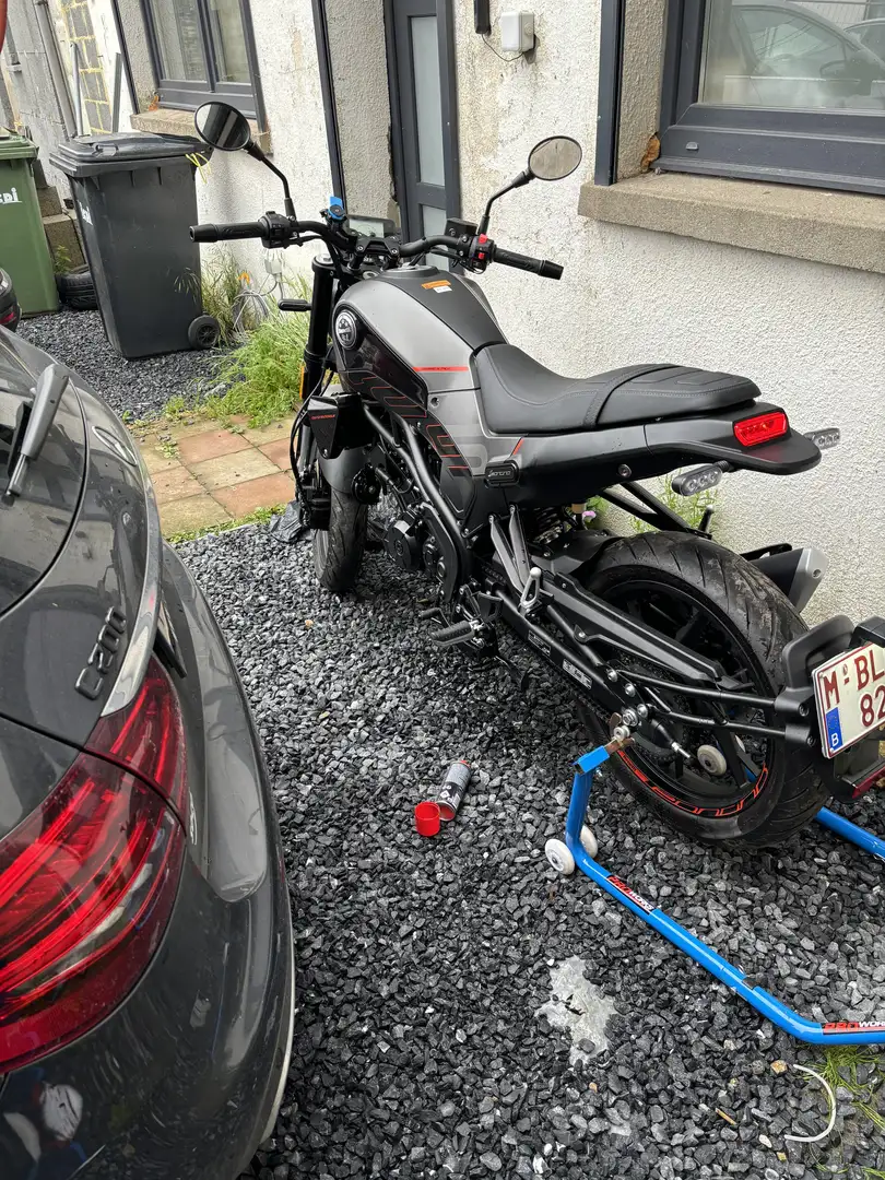 Benelli Leoncino - 2