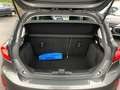 Ford Fiesta 125PS Titanium LED/ App Connect/ Winterp. Grau - thumbnail 6