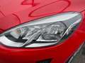Ford Fiesta Fiesta 5p 1.1 Titanium Gpl 75cv Rosso - thumbnail 9
