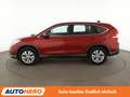 Honda CR-V 1.6 DTEC Comfort 2WD*TEMPO*SHZ*KLIMA*GARANTIE* Rot - thumbnail 3