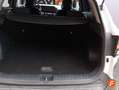 Kia Sportage 1.6 T-GDi HEV 171kW (230CV) Business 4x4 Blanco - thumbnail 14