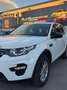 Land Rover Discovery Sport Discovery Sport 2.2 TD4 SE Blanco - thumbnail 18