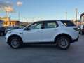 Land Rover Discovery Sport Discovery Sport 2.2 TD4 SE Bianco - thumbnail 9