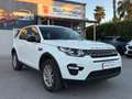 Land Rover Discovery Sport Discovery Sport 2.2 TD4 SE Bianco - thumbnail 2