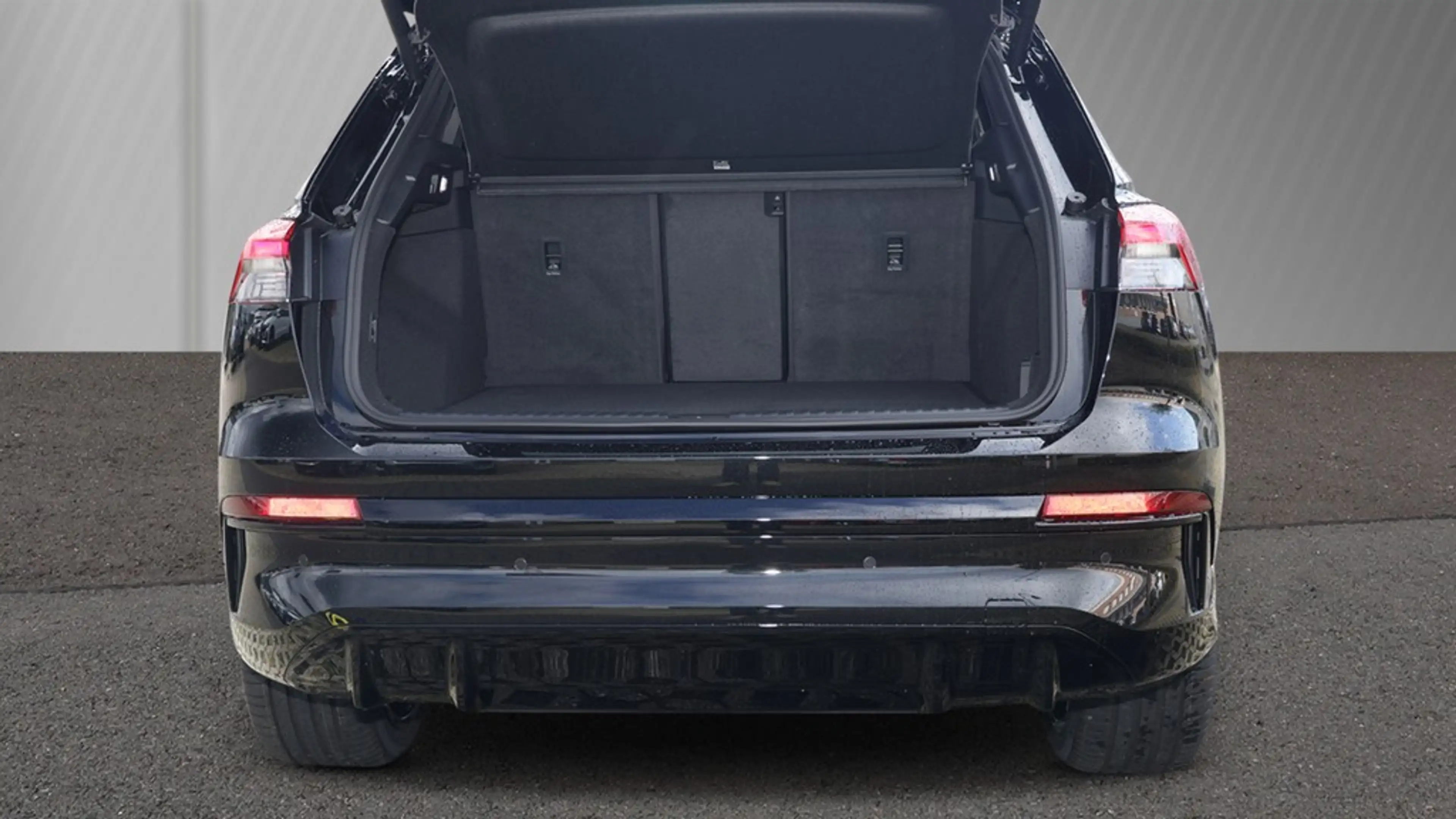 Audi e-tron quattro performance 250 kW — photo 6