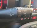 Fiat Panda 1.0 hybrid 70Cv CROSS 5posti RadioAPP CarPlay Zwart - thumbnail 16