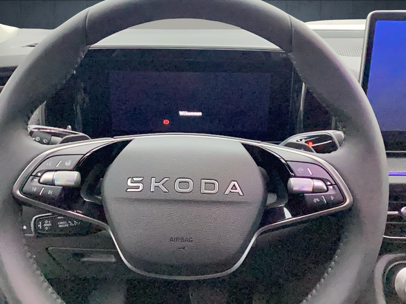 Skoda Kodiaq Selection 2.0l TDI DSG 4x4 NAVI/AHK/SHZ — photo 10