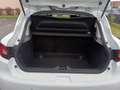 Renault Clio 1.5 DCI 75 BUSINESS ECO² Blanc - thumbnail 11