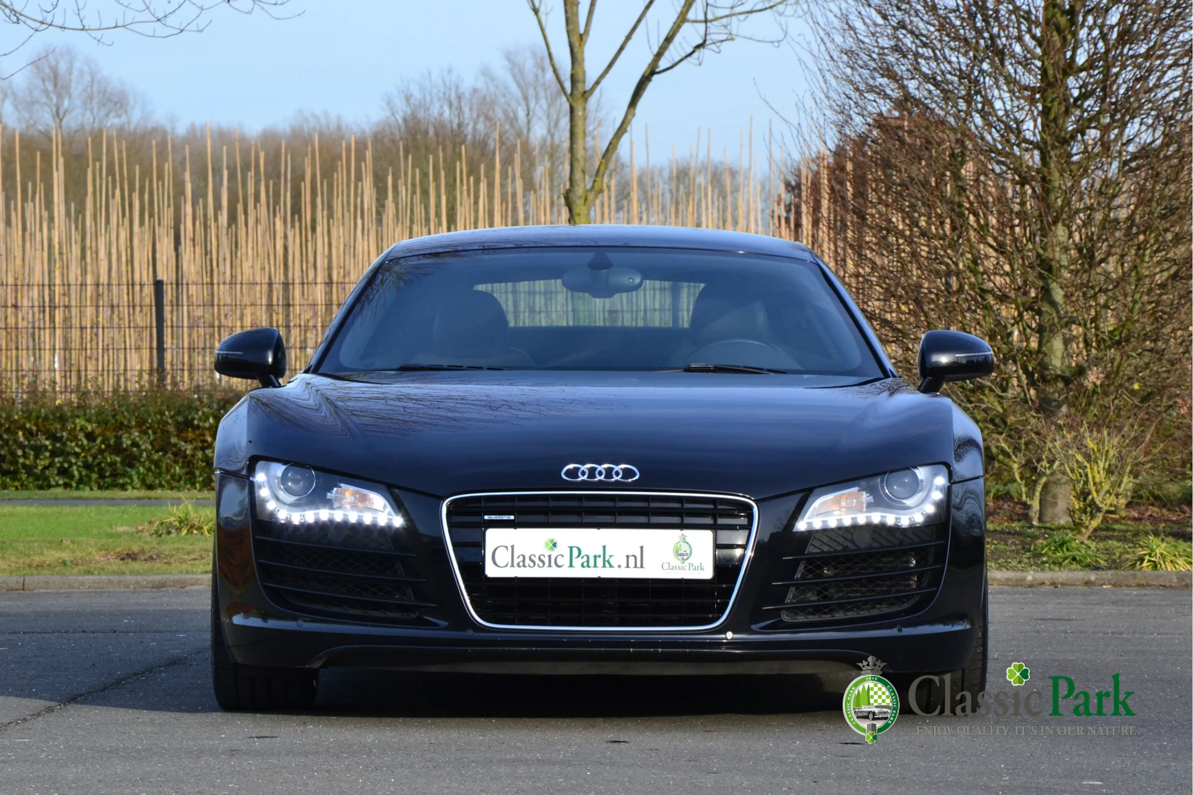Audi R8 4.2 V8 FSI — photo 9