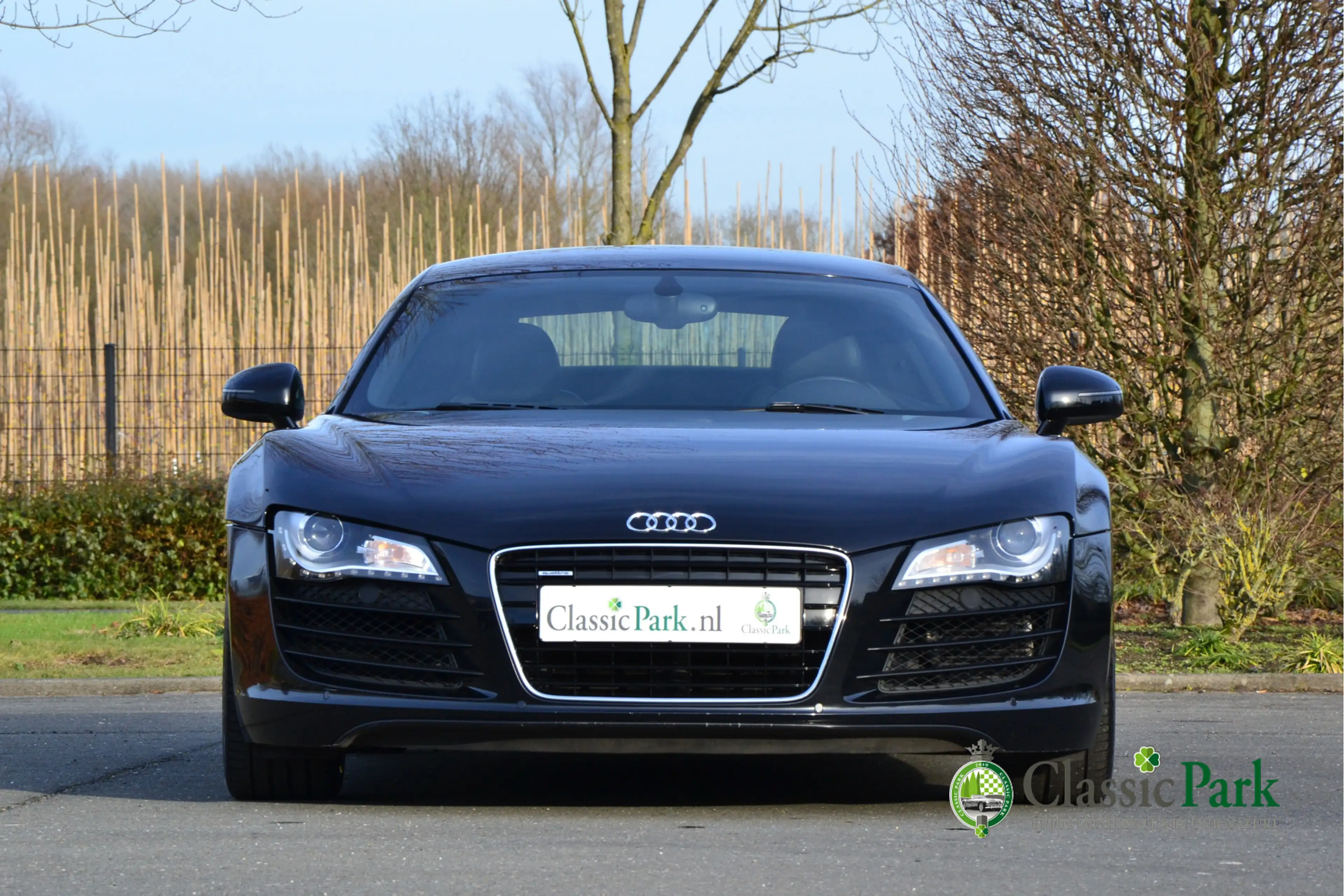 Audi R8 4.2 V8 FSI — photo 8