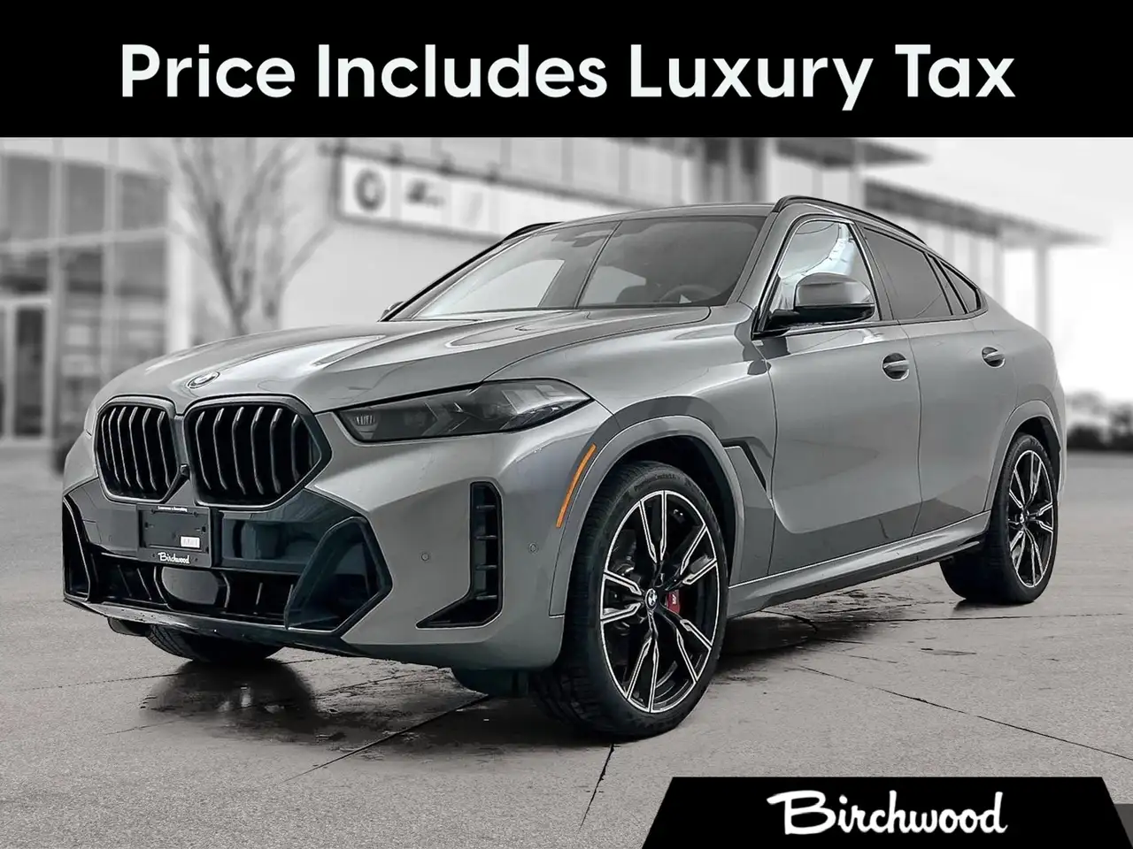 2026 BMW X6