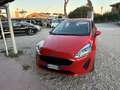 Ford Fiesta Fiesta VII 2017 5p 5p 1.1 Business s Rosso - thumbnail 3