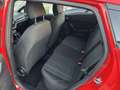 Ford Fiesta Fiesta VII 2017 5p 5p 1.1 Business s Rosso - thumbnail 7