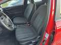 Ford Fiesta Fiesta VII 2017 5p 5p 1.1 Business s Rosso - thumbnail 13