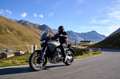 Moto Guzzi Stelvio Modell 2024 ARAS!!! inkl. 4 Jahre Garantie!!! Gelb - thumbnail 17