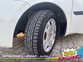 Fiat Idea 1.4 Easypower Dynamic Gpl 78cv 1 PROPRIETARIO Weiß - thumbnail 15