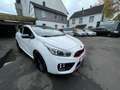 Kia Ceed / cee'd GT-Track*PANO+19ZOLL* Blanco - thumbnail 19