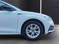 Skoda Octavia Combi Sportline iV 1.4 TSI Navi, HUD, 8fach Blanco - thumbnail 22