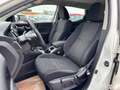 Nissan Qashqai *PICKERL NEU 04/26* 1,5 dCi Visia Weiß - thumbnail 14