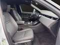 Land Rover Range Rover Evoque D200 Dynamic SE Winter Paket Grau - thumbnail 6