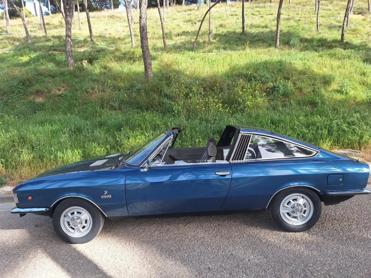 Fiat Moretti Lusso Targa, foto 4
