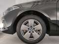 BMW 118 i LED/DAB/PDC/SHZ  LED/DAB/PDC/SHZ Schwarz - thumbnail 10