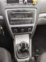 Skoda Octavia Octavia 1.6 CR TDi GreenLine Ambiente DPF Grau - thumbnail 13
