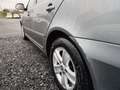 Skoda Octavia Octavia 1.6 CR TDi GreenLine Ambiente DPF Grau - thumbnail 10