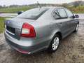 Skoda Octavia Octavia 1.6 CR TDi GreenLine Ambiente DPF Grau - thumbnail 4