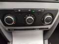 Skoda Octavia Octavia 1.6 CR TDi GreenLine Ambiente DPF Grau - thumbnail 14