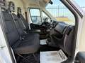 Fiat Ducato 30 MH2 2.2 Mjt3 140CV E6D*NEW MODELLO*KM 47.838 Weiß - thumbnail 12