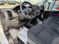 Fiat Ducato 30 MH2 2.2 Mjt3 140CV E6D*NEW MODELLO*KM 47.838 Weiß - thumbnail 8