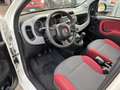 Fiat New Panda twin air natural power lounge - thumbnail 8