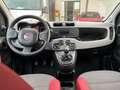 Fiat New Panda twin air natural power lounge - thumbnail 6