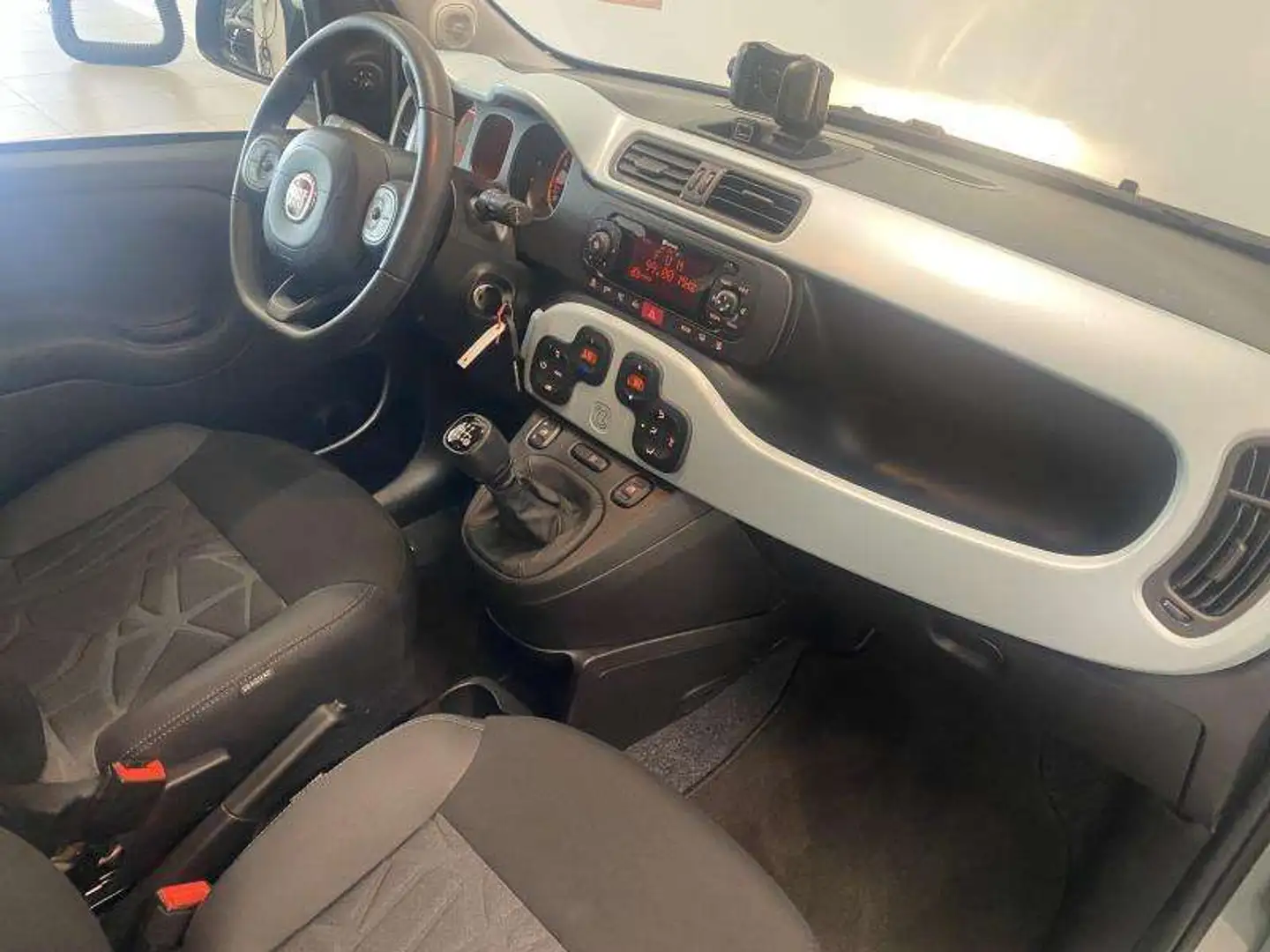 Fiat Panda Cross - LAUNCH EDITION Vert - 2