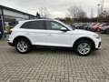 Audi Q5 50 TDI quattro advanced*Matrix*ACC*AHK* Weiß - thumbnail 16
