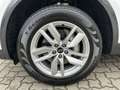 Audi Q5 50 TDI quattro advanced*Matrix*ACC*AHK* Weiß - thumbnail 15