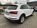 Audi Q5 50 TDI quattro advanced*Matrix*ACC*AHK* Weiß - thumbnail 6