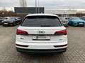 Audi Q5 50 TDI quattro advanced*Matrix*ACC*AHK* Weiß - thumbnail 17