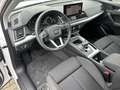 Audi Q5 50 TDI quattro advanced*Matrix*ACC*AHK* Weiß - thumbnail 10