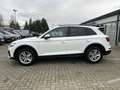 Audi Q5 50 TDI quattro advanced*Matrix*ACC*AHK* Weiß - thumbnail 18