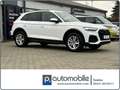 Audi Q5 50 TDI quattro advanced*Matrix*ACC*AHK* Weiß - thumbnail 2
