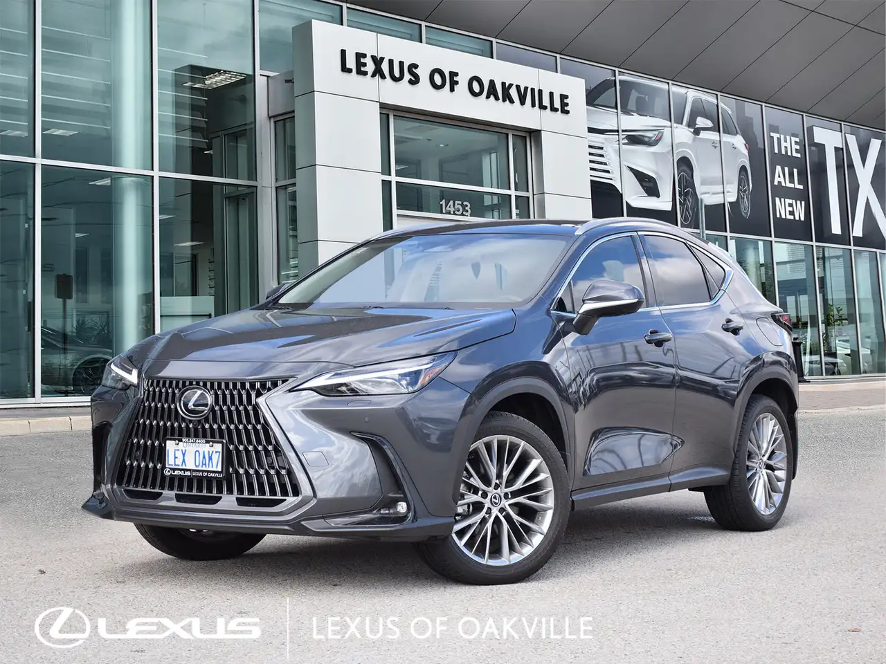 2025 Lexus NX