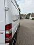 Mercedes-Benz Sprinter 313 CDI 906.235906.231 Aut. EEV - thumbnail 5