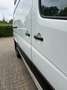 Mercedes-Benz Sprinter 313 CDI 906.235906.231 Aut. EEV - thumbnail 4