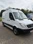 Mercedes-Benz Sprinter 313 CDI 906.235906.231 Aut. EEV - thumbnail 2