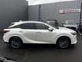 Lexus RX 450h 450h+ Privilege Blanc - thumbnail 4