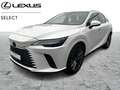 Lexus RX 450h 450h+ Privilege Blanc - thumbnail 1
